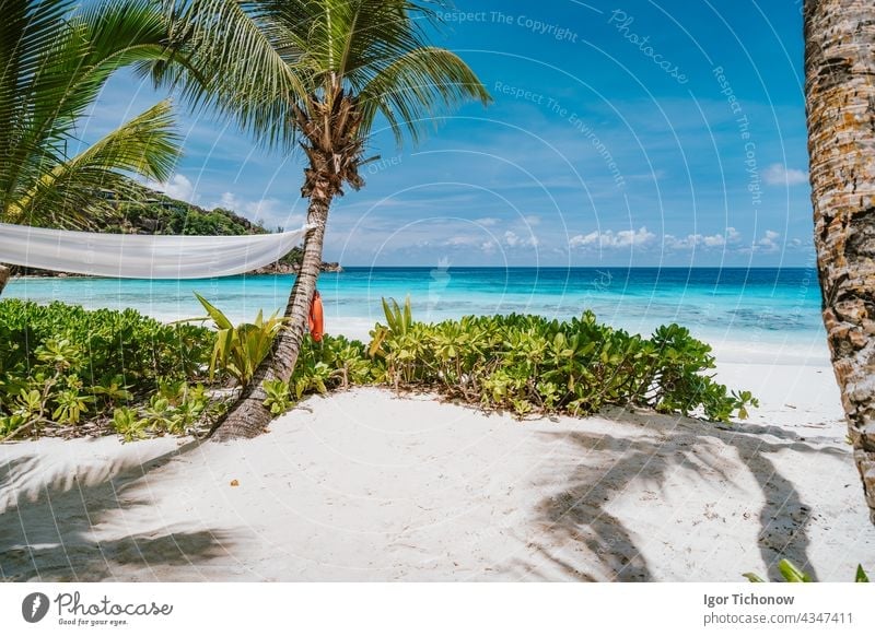 Tropischer Strand auf der Insel Mahe, Seychellen. Reisen Urlaub Hintergrund Mahé Paradies Wasser Natur Meer Landschaft tropisch Sommer Handfläche Himmel Sand