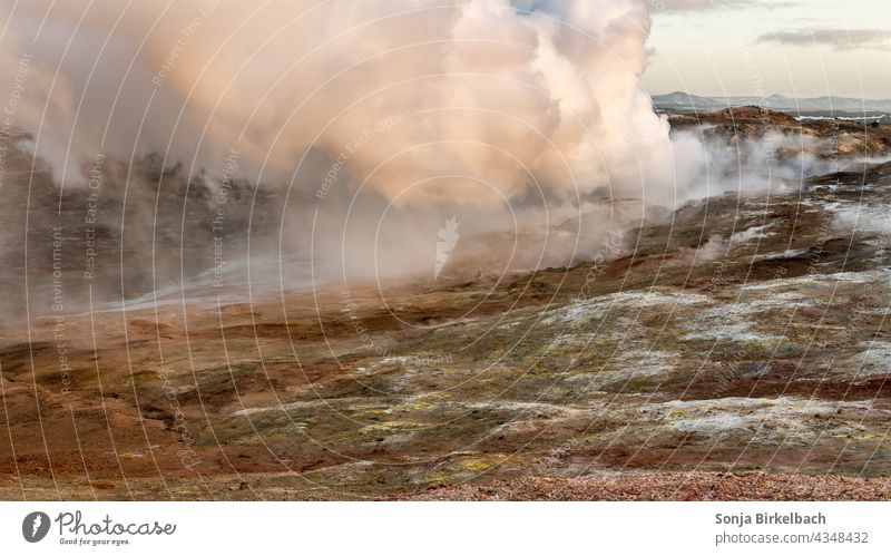 Dampfwolken über dem Boden - Seltún-Geothermalgebiet auf Reykjanes, Island Vulkan Hitze heiß Qualm vulkanisch Schwefel Wasser brodelnd stinkend Hölle Landschaft