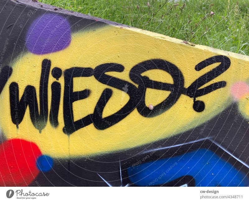 Wieso - gezeichnet & gemalt Farbfoto Graffiti Wand Zeichen Außenaufnahme Jugendkultur links Gesellschaft (Soziologie) Menschenleer Buchstaben Subkultur
