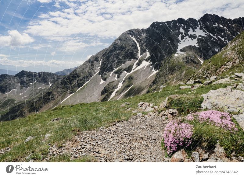 Blick vom Grünangerjoch Richtung Pfandlspitz, Bergwiese und Gipfel mit Schneefeldern in Südtirol Berge Alpen Wandern Himmel Wolken Wanderlust Höhe Aufstieg Joch