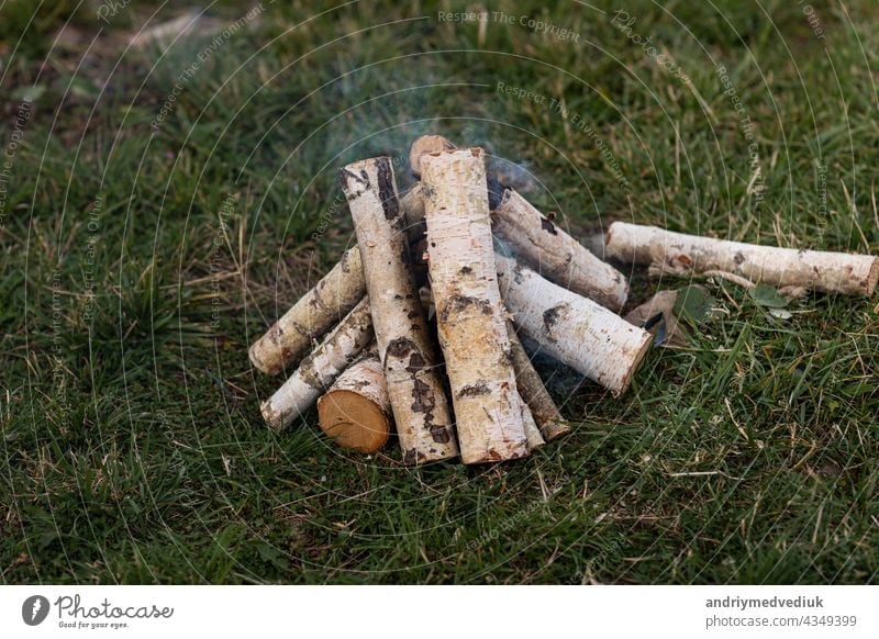 Birkenholz gestapelt zum Anzünden eines Lagerfeuers auf der Wiese Brennholz Feuer Platz für Brennholz Holz alternativ Hintergrund Umwelt Holzplatte Freudenfeuer