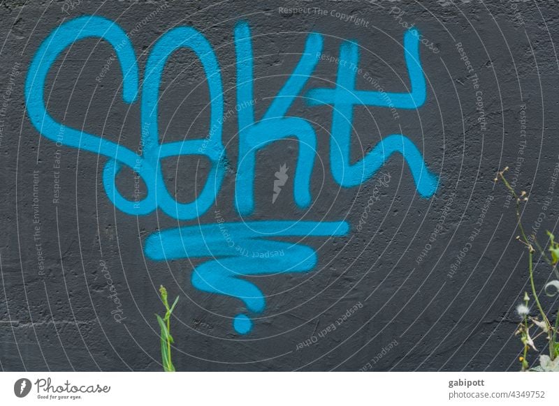 Sekt - Prost! - gezeichnet und gemalt Graffiti Wand Schriftzeichen Buchstaben Straßenkunst Mauer Schmiererei Wort Fassade Text Außenaufnahme Typographie Zeichen