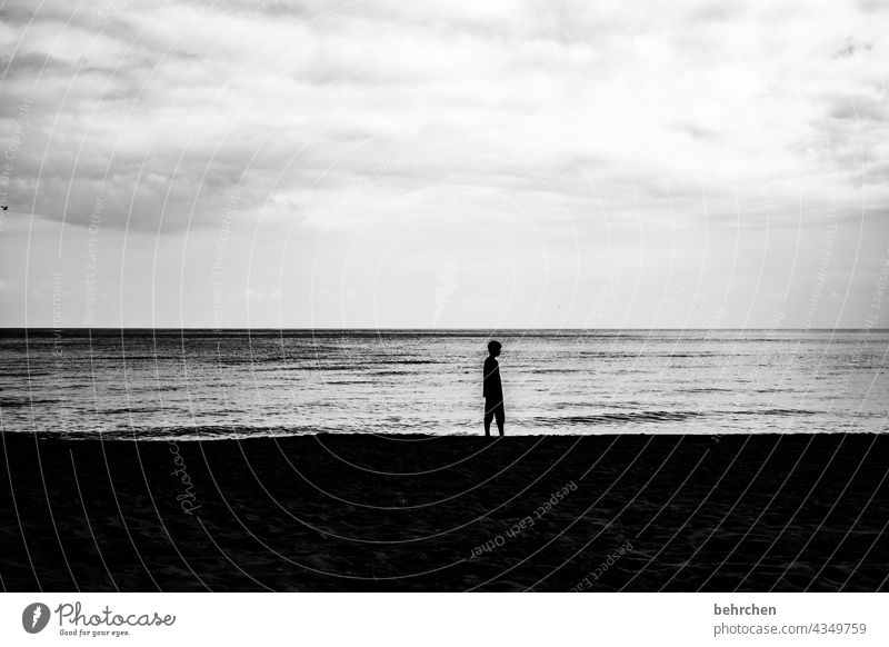 der junge mann und das meer dramatisch Usedom Schwarzweißfoto Freiheit Natur Wellen Wasser Idylle Sehnsucht Fernweh weite Wolken Himmel Ostsee Meer Strand