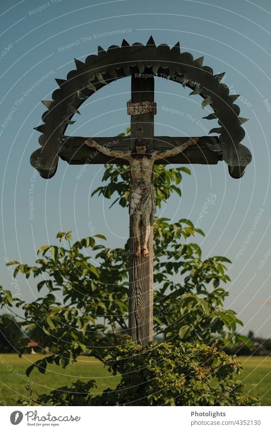 Flurkreuz / Wegekreuz mit Darstellung des gekreuzigten Christus Jesus Jesus Christus Holz Kreuz Pflanze grün Farbfoto Religion & Glaube Christentum