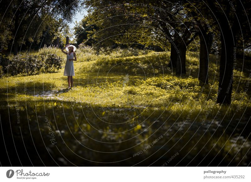 like a painting Mensch feminin Junge Frau Jugendliche Erwachsene Leben Körper 1 18-30 Jahre Umwelt Natur Landschaft Pflanze Himmel Sommer Schönes Wetter Baum