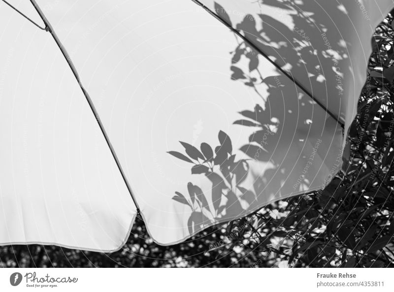 Teil eines weißen Sonnenschirms mit Schatten der Blätter vom Baum dahinter Sonnenlich Sommerstimmung Garten schwarzweiß im Schatten Licht Schattenspiel Kontrast
