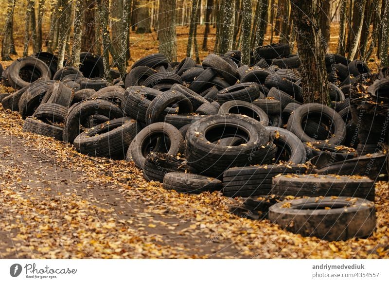 Ein alter Autoreifen, der in einen Wald geworfen wurde, macht Lärm. Reifen Verlassen Holz Gummi Verschmutzung Müll Ökologie Transport Deponie abgeladen schwarz