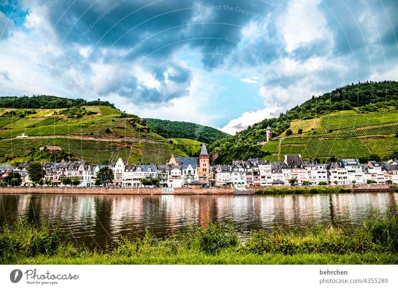 moselgeschichten Architektur Stadt Wald Ferien & Urlaub & Reisen wandern Natur Sommer Wolken Himmel Landschaft Berge u. Gebirge Wein Weinberg Weintrauben