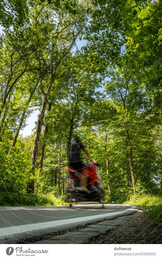 Fahrradfahren im Park Mobilität Mobilitätswende Radweg wald Fahrradweg fahrradweg straße fahrbahnmarkierung asphalt richtung linie navigation grün draußen Natur