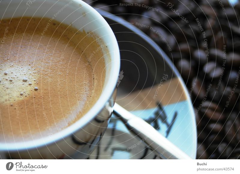 Espresso Lebensmittel Ernährung Kaffeetrinken Getränk Heißgetränk Tasse lecker Bohnen Farbfoto Nahaufnahme Tag Detailaufnahme Vogelperspektive