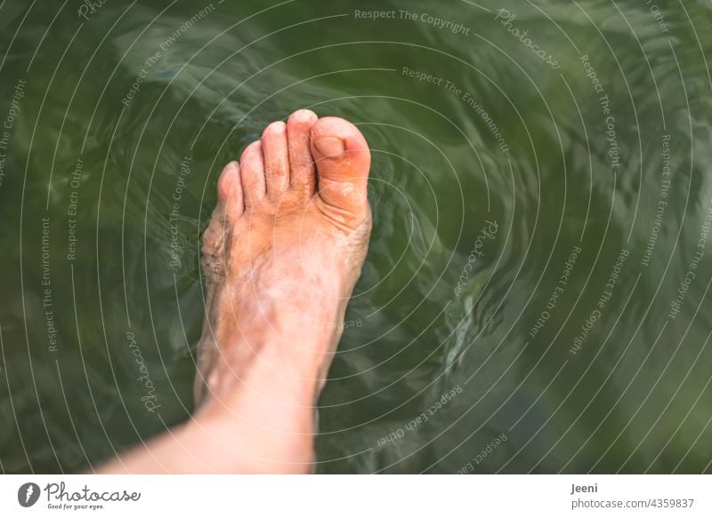 Den Fuß ins Wasser baumeln lassen links See ausstrecken Beine Barfuß Mensch genießen Erholung Sommer ruhig entspannend Zufriedenheit Pause Freiheit träumen grün