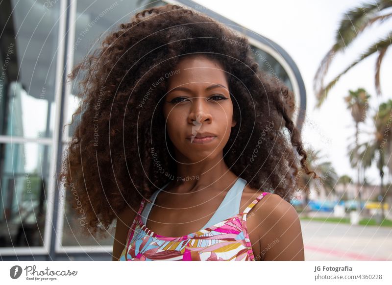Nahaufnahme Porträt einer schönen jungen Afro-Frau schwarz Aussehen Afro-Look Behaarung Latein Auge Kräusel hispanisch Frisur Schönheit Mädchen Afrikanisch