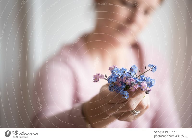 Mädchen mit einem Vergissmeinnichtstrauss in der Hand blume blau rosa geringe Tiefenschärfe Pflanze blühen Nahaufnahme natürlich Blütenblatt Mensch Farbfoto