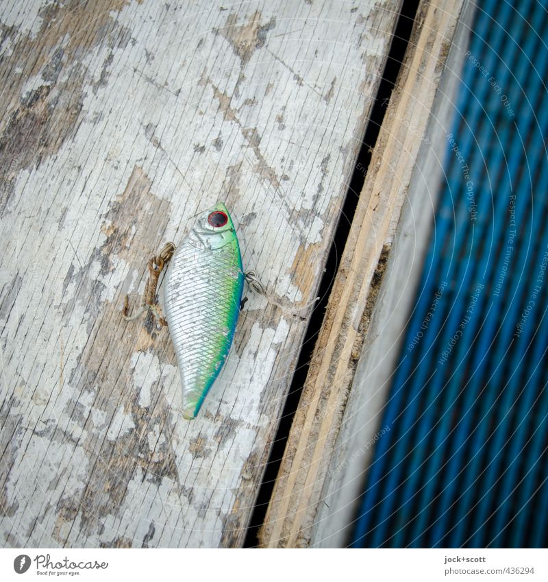 Bait Angeln Köder Holz Metall Rost Linie liegen authentisch klein ästhetisch Stil Tradition Fisch Nachbildung Haken gebraucht Oberflächenstruktur Attrappe