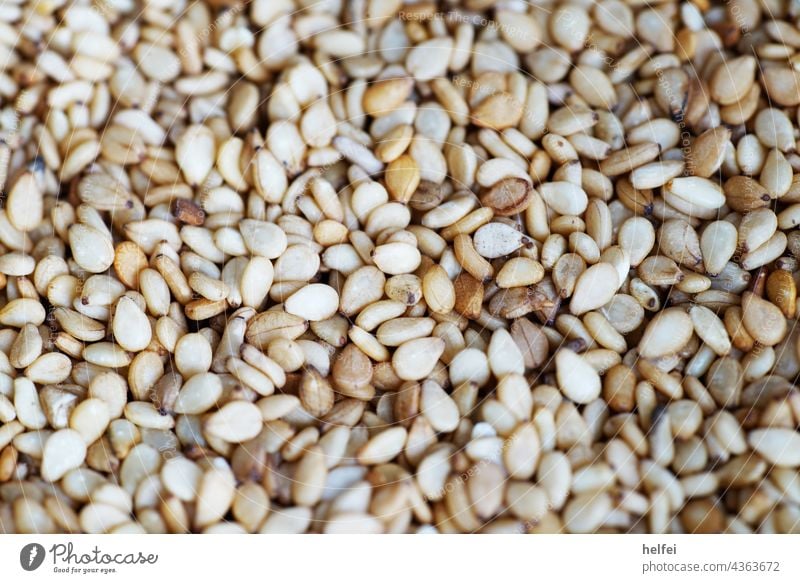 Sesam Kerne im Studio fotografiert mit Makro Einstellung als Nahaufnahme Mohn organisch minimalistisch vereinzelt selbstgemacht golden frisch Lebensmittel