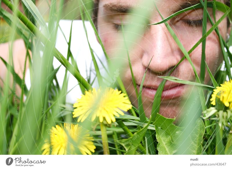 riech mal... Mann Blume Gras grün gelb Wiese geschlossen Gesicht Auge Rasen Haare & Frisuren liegen Natur lachen