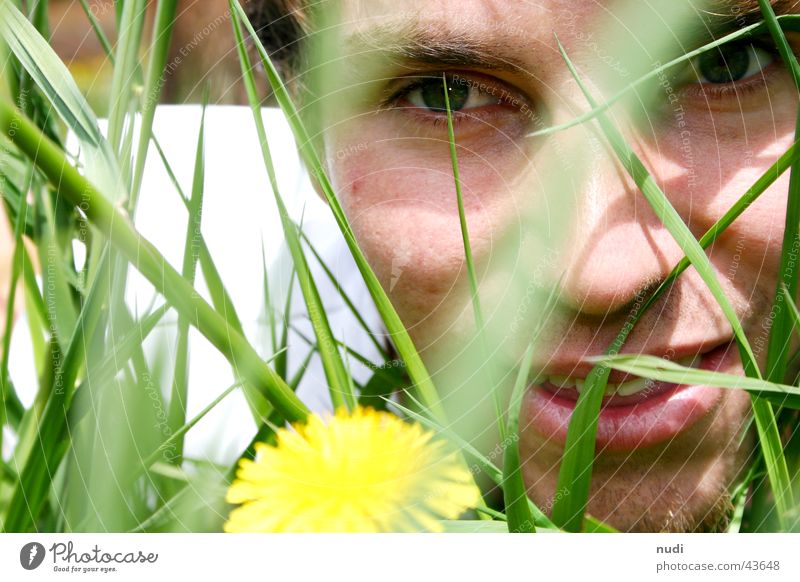 schau mal... Mann Blume Gras grün gelb Wiese Gesicht Auge Rasen Haare & Frisuren liegen Natur lachen Blick