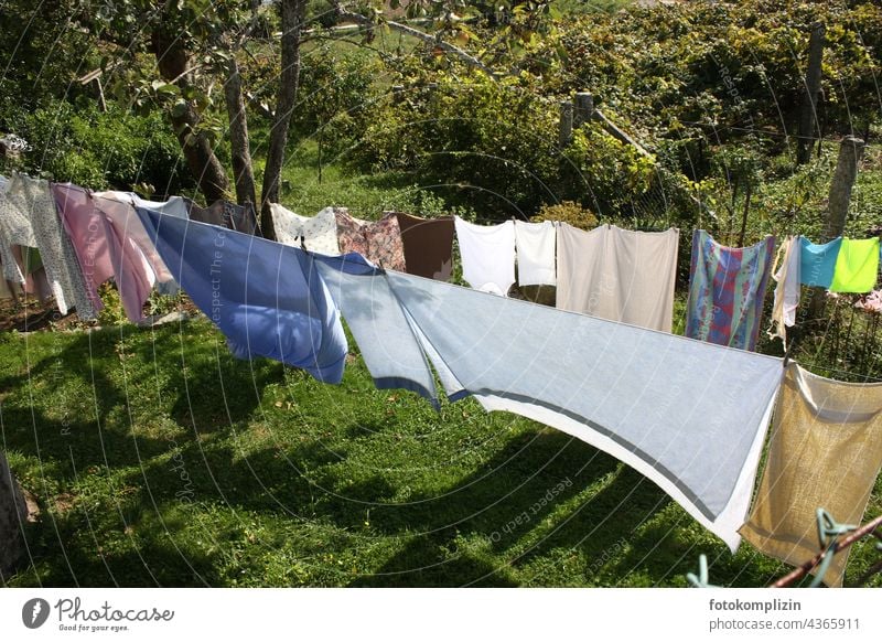 Wäscheleinen im sonnigen Garten Waschtag waschen aufhängen Alltagsfotografie Häusliches Leben Sauberkeit Haushaltsführung Wäsche waschen Landleben Frischluft