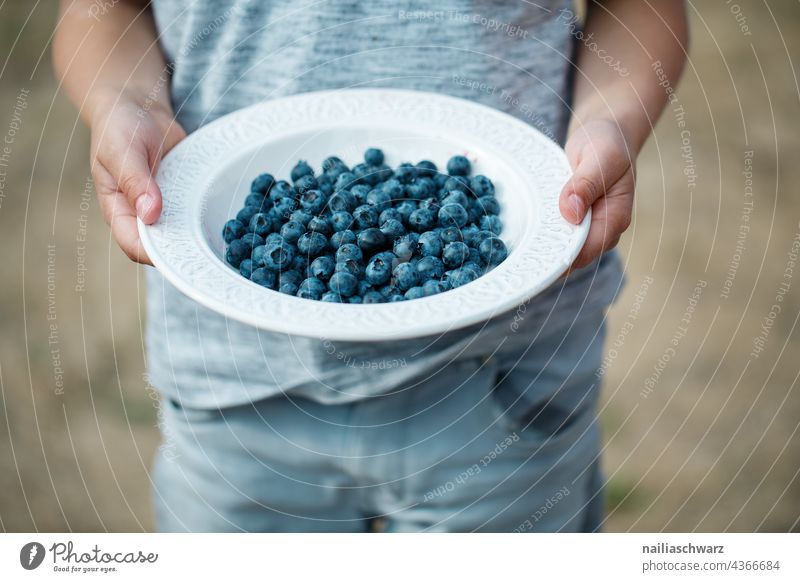 Sommer Kind Teller roh Dessert reif Nahaufnahme Handvoll Farbfoto frisch blau Ernte Beerenfrucht Menschen Frucht Foodfotografie Lebensmittel köstlich