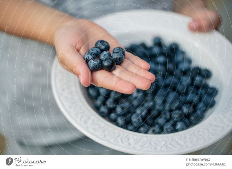 Heidelbeeren heidelbeeren Blaubeeren lecker saftig Gesundheit Gesunde Ernährung gesunder snack süß köstlich Lebensmittel Foodfotografie Beeren Hand Frucht