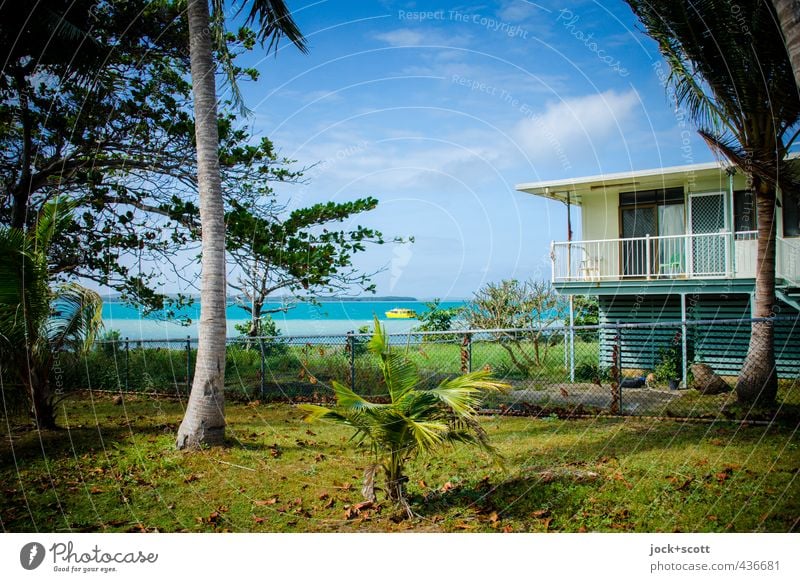 sea view, blue sky Lifestyle Wolken Schönes Wetter Baum exotisch Garten Wiese Küste Pazifik Queensland Motorboot Wärme Geborgenheit Idylle Umwelt