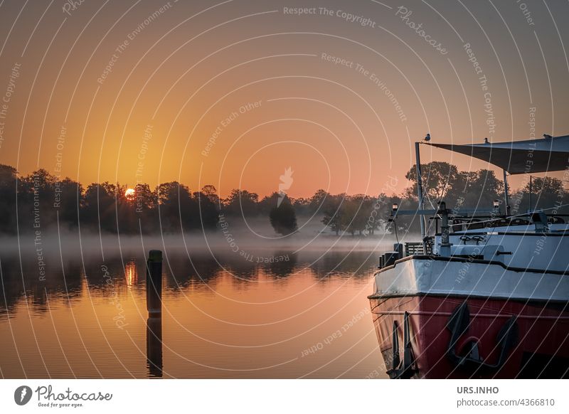 mit dem Sonnenaufgang verschwindet der Nebel über dem Wasser Fluss Havel Brandenburg orange Schiff Morgennebel Spiegelung Dämmerung Stille Idylle idyllisch