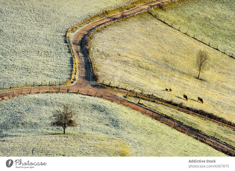 Infrarot hügeliges Terrain mit Rauch Hügel Landschaft Haus Baum Bauernhof Infrarotaufnahme ländlich Dorf Natur Pflanze Cottage malerisch Gebäude Dunst Saison