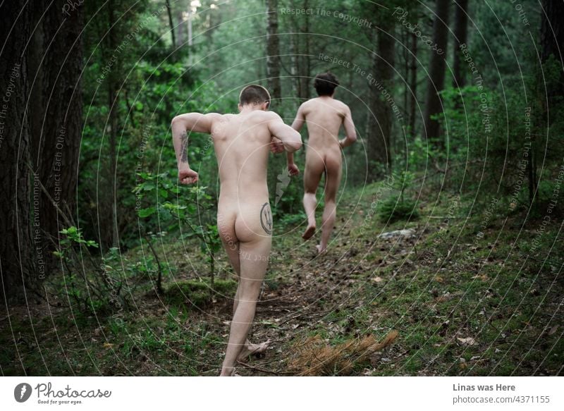 Diese Wälder haben schon viele nackte Männer gesehen. Sie rennen an schönen Sommernachmittagen wie verrückt durch den dunkelgrünen Wald. Die Kinder sind alle wild.