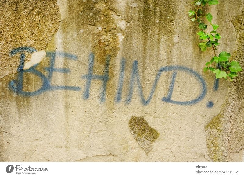 BEHIND !  steht in blauen großen Buchstaben an der mit Efeu bewachsenen Mauer behind Präposition hinter englisch zurück dahinten Hintern Popo Kehrseite