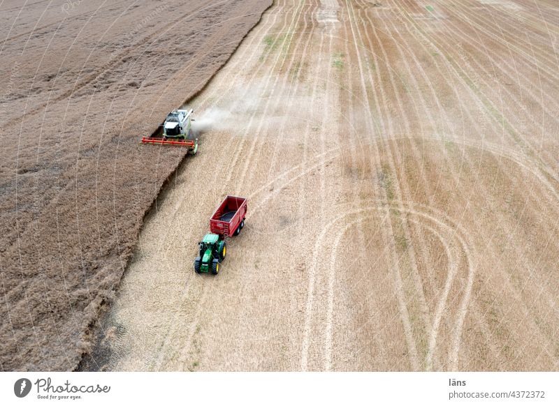 Getreideernte Landwirtschaft Feld Sommer Ernte Getreidefeld Mähdrescher Tracktor Trecker Vogelperspektive Drohnenansicht
