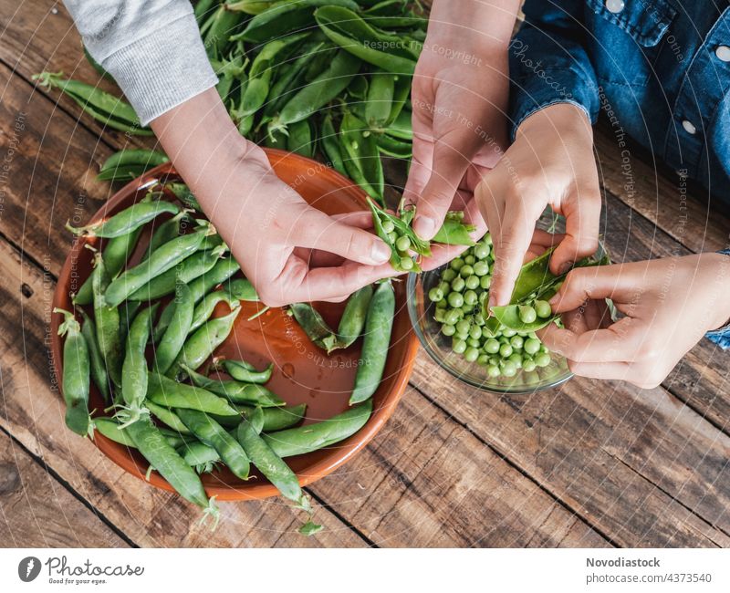 zwei Kinder, die Erbsen aus ihren Schoten entfernen, nur die Hände sind zu sehen organisch Gemüse zusätzlich Ernte Pflanze Bohne Ernährung offen grün Gesundheit