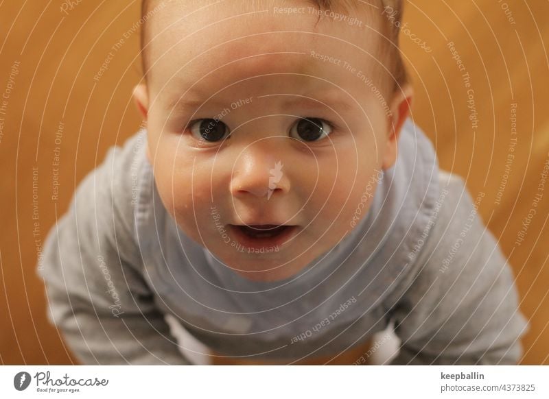 Babyblick Junge Blick Blick in die Kamera Kleinkind fröhlich staunen Kindheit 0-12 Monate niedlich Gesicht