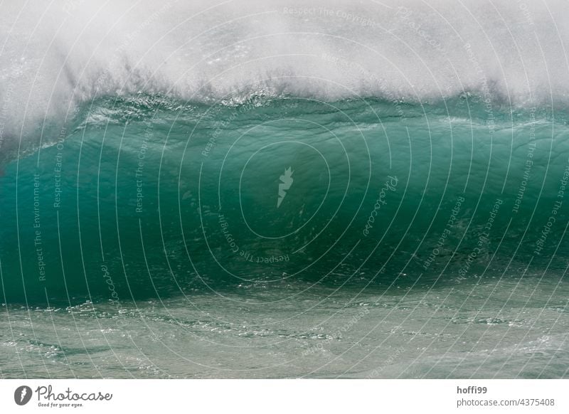 Die grosse Welle bricht Wellen türkis Wellengang Gischt Brandung bedrohlich stark Energie Kraft Natur Atlantik wild Sonnenlicht Naturgewalt Meer Wasser
