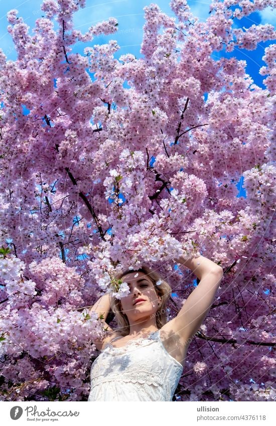 sinnlich, verführerisch, unschuldig Porträt einer sexy, junge Frau in weißem Kleid in sakura rosa Blüten im April, Frühlingserwachen, Kopie Raum Sakura Duft