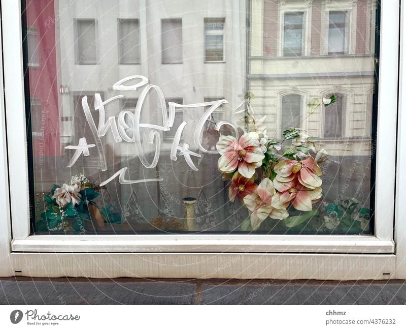 Durchblicke Fenster Glas Reflexion & Spiegelung Blumenstrauß Kunststoff Fassaden Graffiti Fensterrahmen Fensterbank verwahrlost verschmutzt alt traurig Einblick