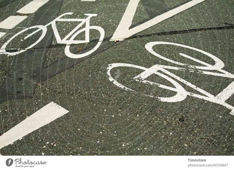 Neulich in Nürnberg...Fahrradwege Verkehrswege Straßenverkehr Fahrradfahren Piktogramm Fahrbahnmarkierung Richtung Zeichen Wege & Pfade Asphalt Farbe weiß grau