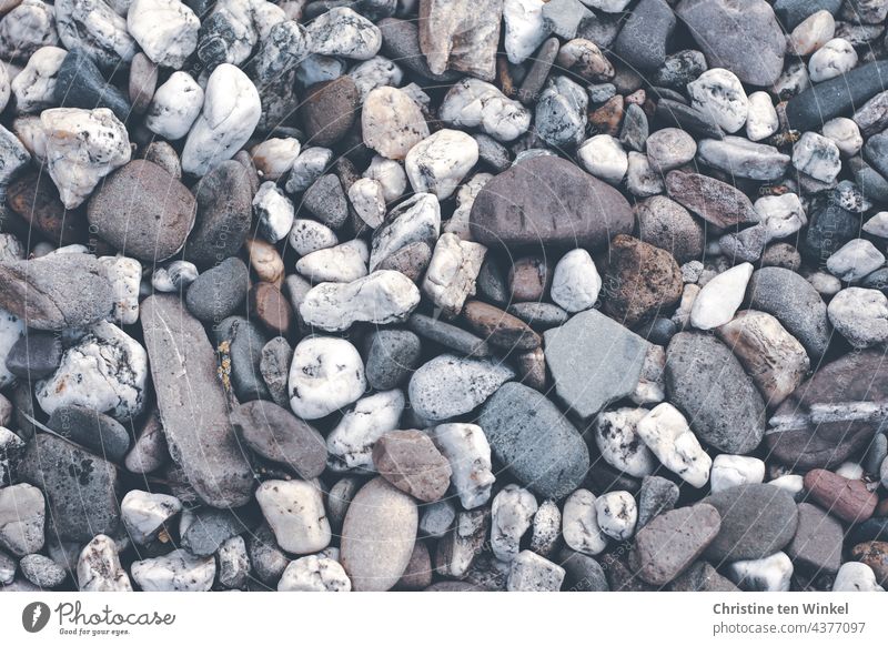 700 / Viele schöne Kieselsteine in unterschiedlichen Farben, Größen und Formen Strukturen & Formen grau hell Stein Steinbeet Vorgarten Vogelperspektive