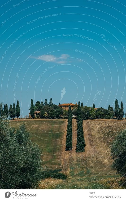 Haus auf einem Hügel in der Toskana mit Zypressen und blauem Himmel Landschaft Italien warm Sommer grün Bäume Natur blauer Himmel toskanisch mediterran