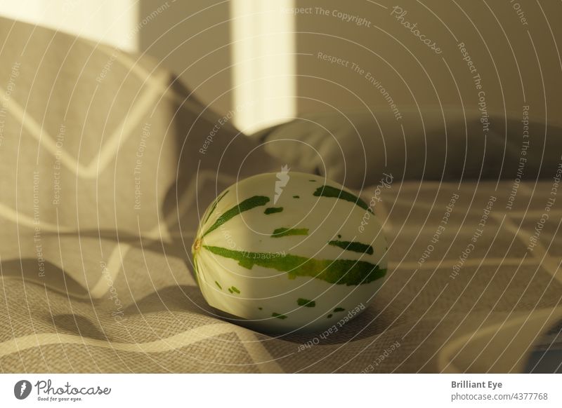liegende Snowball Melone auf einer Decke im morgendlichen Sonnenlicht Gesunde Ernährung Ordnung Vegetarier Schneeballmelone niemand Bestandteil Frische