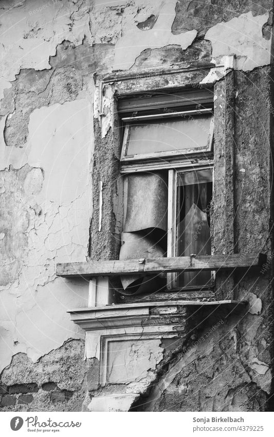 Inmitten einer bunten Stadt - Tristesse städtisch Altbau Abrisshaus Fassade Gebäude Architektur Haus Fenster Bauwerk Menschenleer Altstadt Außenaufnahme Tag