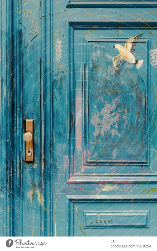 bemalte holztür Tür blau Holz Vogel Frieden Holztür Friedenstaube geschlossen Türgriff Griff Kreativität Taube Farbe Malerei Schloss Freiheit