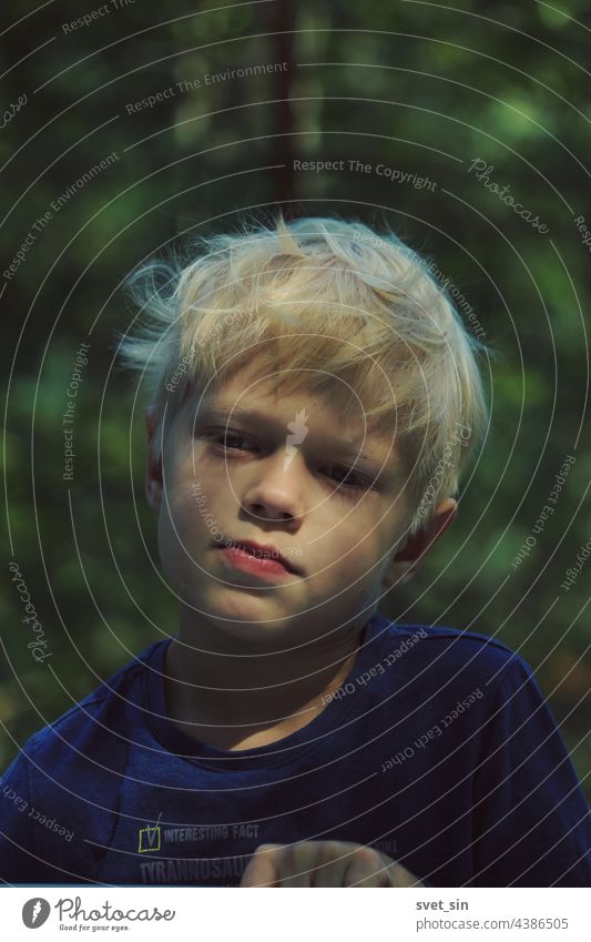 Porträt eines blonden Jungen mit zerzaustem Haar im Freien vor dem Hintergrund eines sommergrünen Waldes. Kind Natur sonnig Schönheit Gesicht Sommerzeit