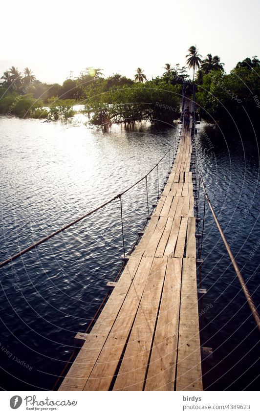 Einfache Hängebrücke für Fußgänger über einen Fluss in den Tropen Seilbrücke tropisch Urwald Holzbretter schwingend schlicht Wasser Überquerung Landschaft Natur
