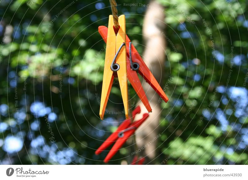 festgeklammert Klammer Wäscheklammern gelb rot mehrfarbig Hintergrundbild Baum Häusliches Leben Seil orange
