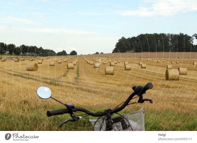 jede Menge gerollte Strohballen auf einem Feld am Rande des Radweges Acker Rolle Ernte Erntezeit Fahrrad Fahrradlenker Landwirtschaft Landschaft Baum Sommer