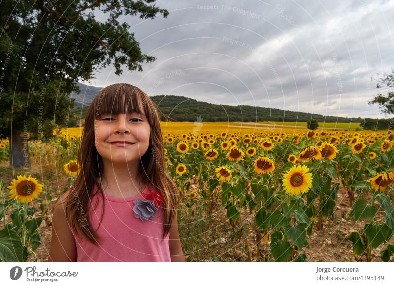 Mädchen mit lustigem Gesicht, das in einem herrlichen Sonnenblumenfeld in die Kamera schaut Kind Feld Blume Glück Freude Menschen Person Sommer sonnig jung