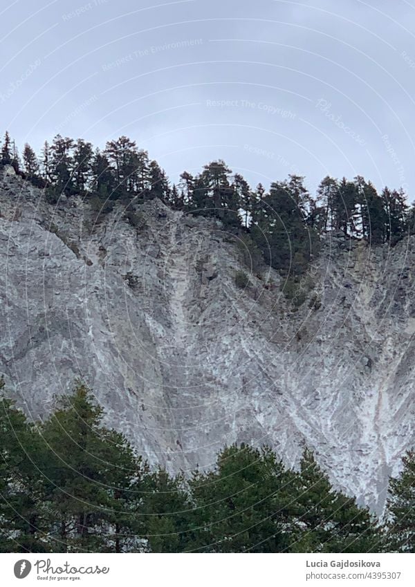 Die felsigen Wände der Ruinaulta-Schlucht in der Schweiz. Das Foto wurde vom Grund der Schlucht aus aufgenommen und zeigt ihre Struktur. Einige Nadelbäume sind auf der Oberseite des Felsens und unter ihm auch.