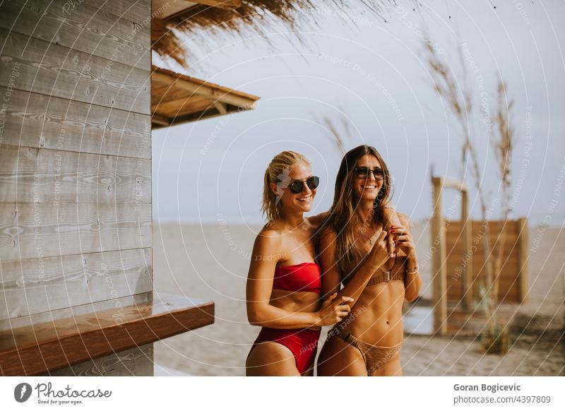 Junge Frauen im Bikini stehen bei der Surfkabine am Strand an einem Sommertag attraktiv Strandbekleidung schön Schönheit Kabine Kaukasier Jeansstoff genießend