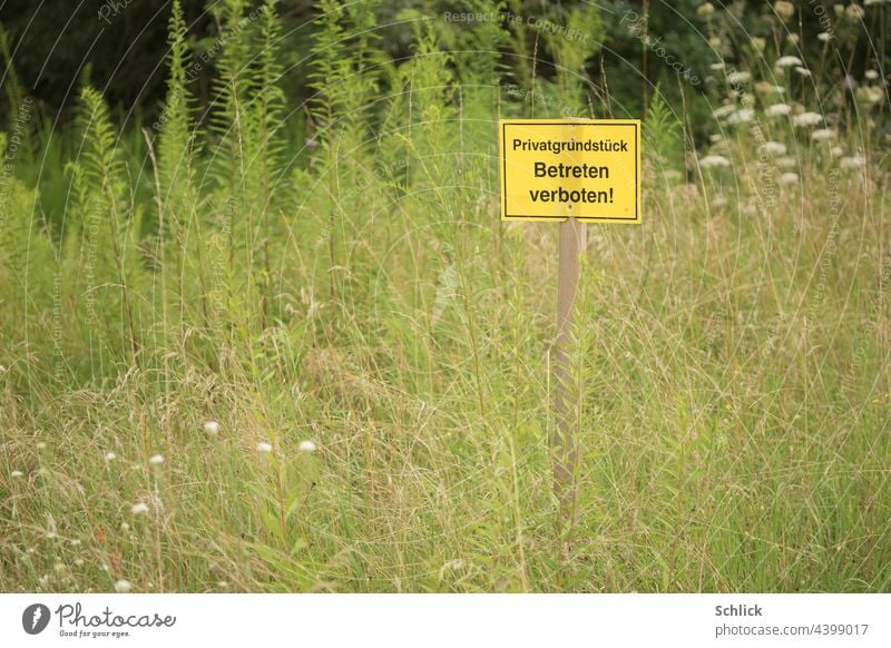 Schild Betreten verboten Privatgrundstück auf einer Wiese mit vielen Wildblumen Wildkräuter wild Gras hoch ohne Himmel gelb Text Schrift deutsch