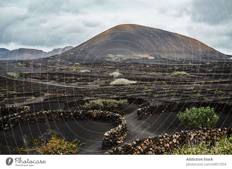 Büsche und Steine in einem trockenen Tal Hügel Buchse Straße reisen Natur Landschaft Gelände Fuerteventura Spanien Kanarische Inseln Berge u. Gebirge Formation